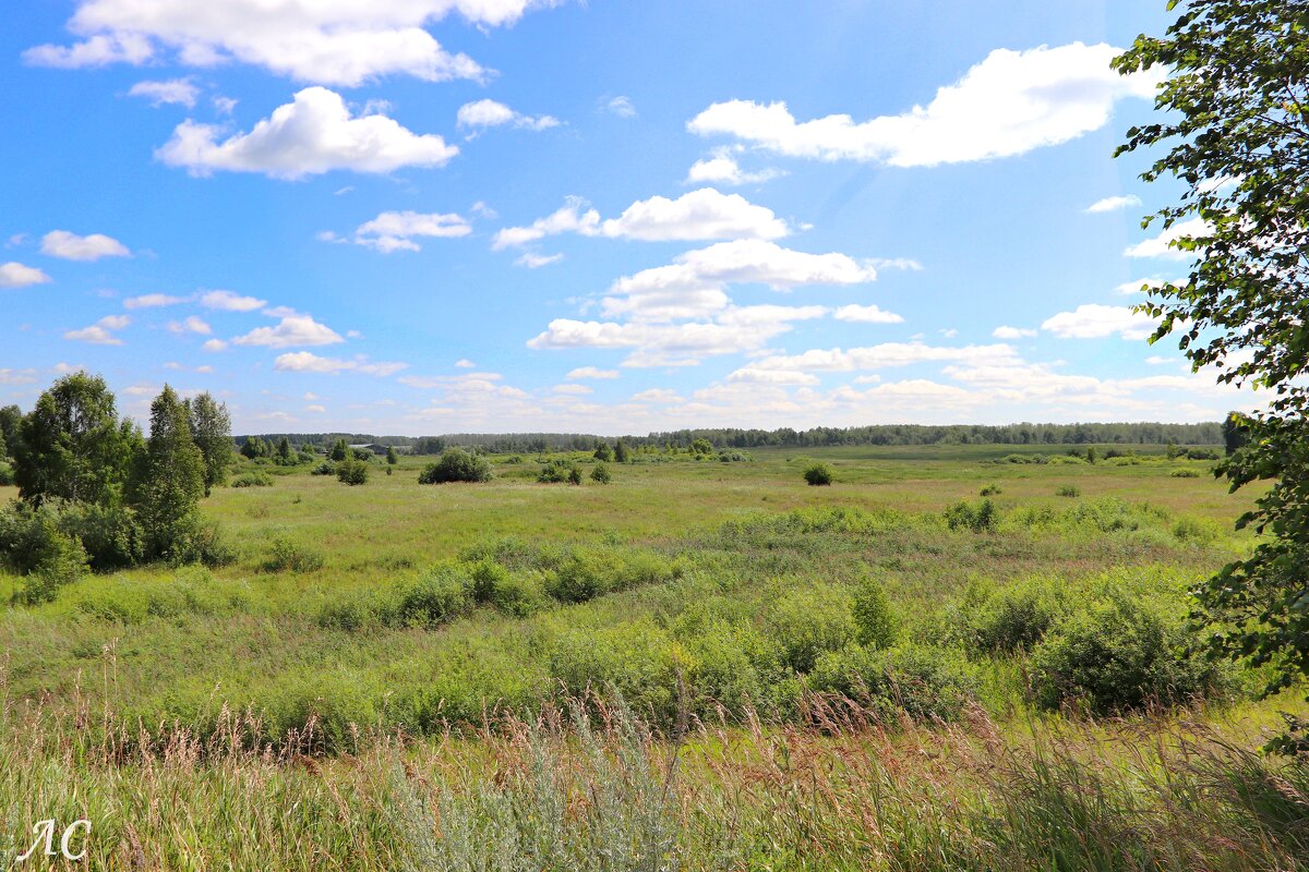 Красота зауральских просторов - Любовь Сахарова Красота зауральских просторов - Любовь Сахарова
