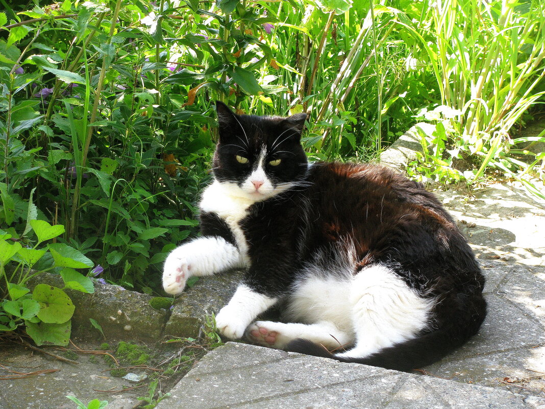 Я отдыхаю - Людмила Смородинская Я отдыхаю - Людмила Смородинская