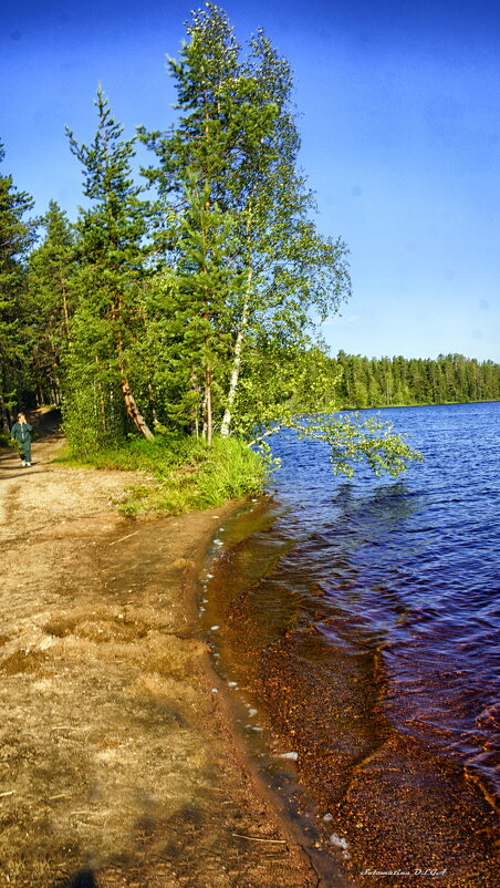 берег - Ольга Cоломатина