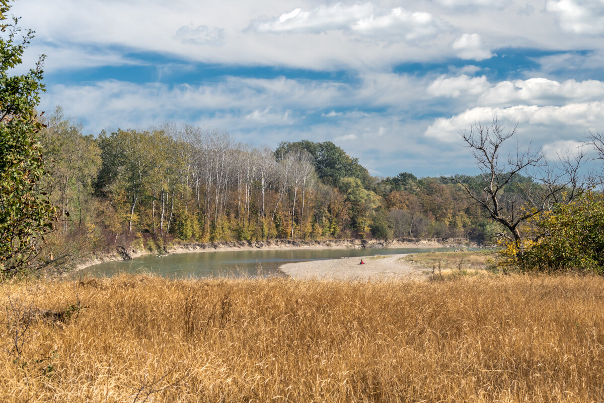 Осень - Игорь Сикорский