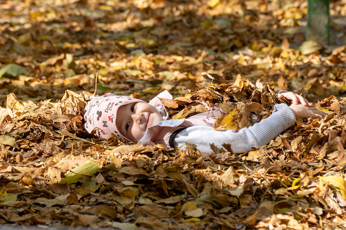 Надоело это лето - Игорь Сикорский Надоело это лето - Игорь Сикорский