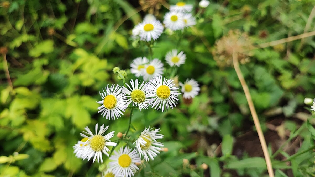 ,,, - Сергей Тимоновский