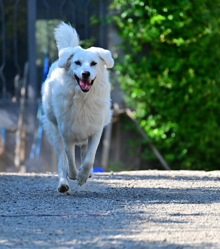 Земное притяжение нам незнакомо - Светлана 