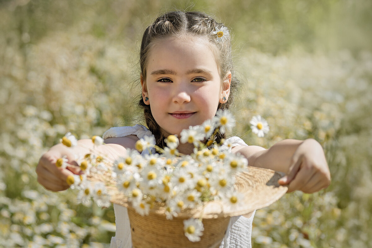 Ромашковое лето - Svetlana Galvez