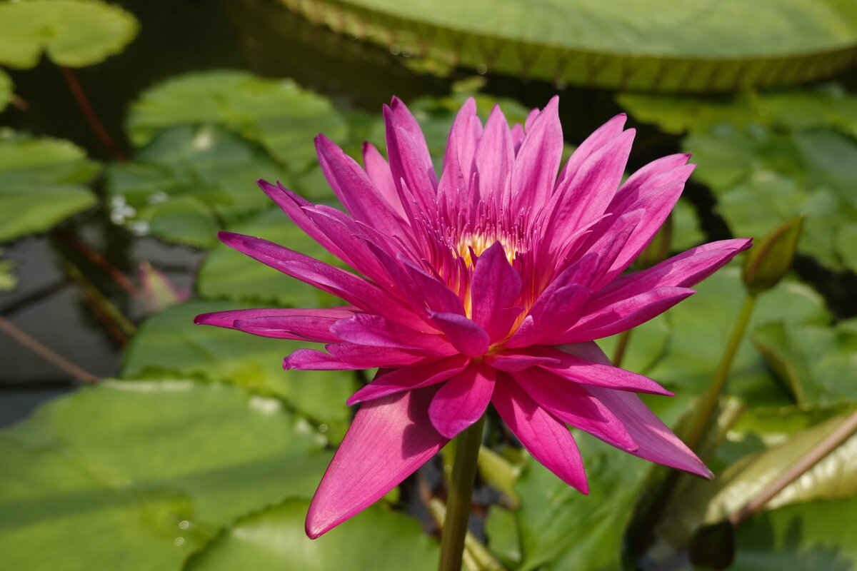 ... - Галина ... - Галина