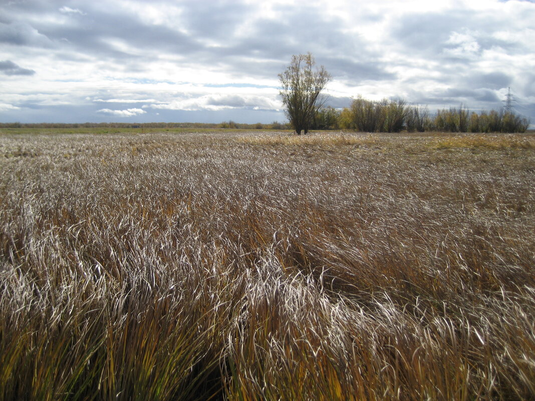 Осень - Anna Ivanova