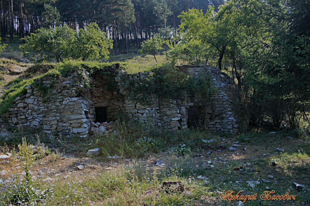 ДОТ(Долговременная огневая точка) - Аркадий Басович
