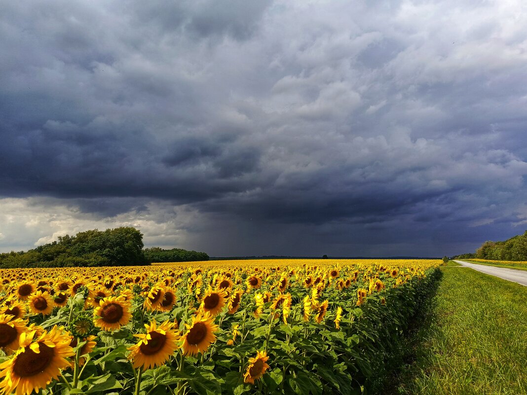 Краски лета - константин 