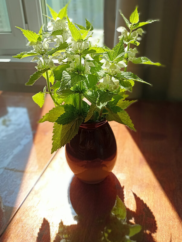 Букетик с тенью. - Лилия *