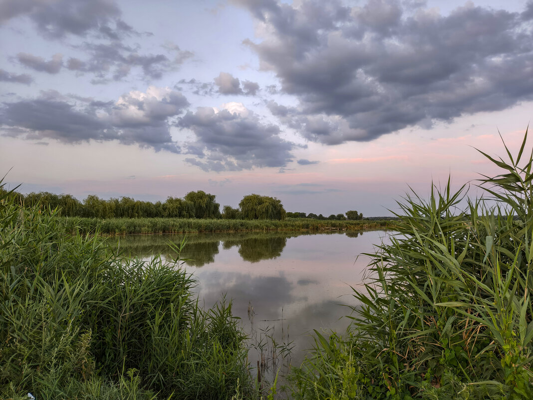Река Журавка. Вечерний покой… Камыши у реки качают облака в воде. - Валерий Ткаченко