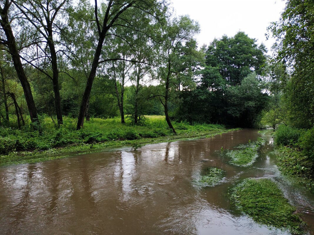 Будете смеяться, но под Дождь я НЕ попал :-) - Андрей Лукьянов