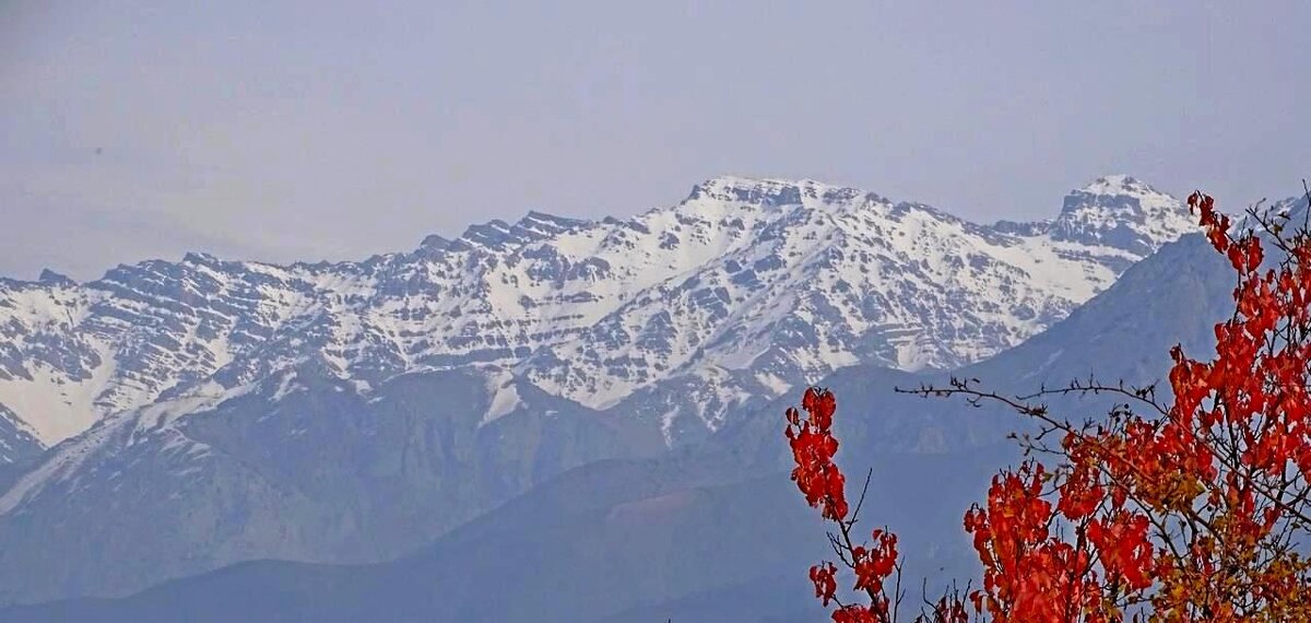 ПО НИЗАМ. - Виктор Осипчук