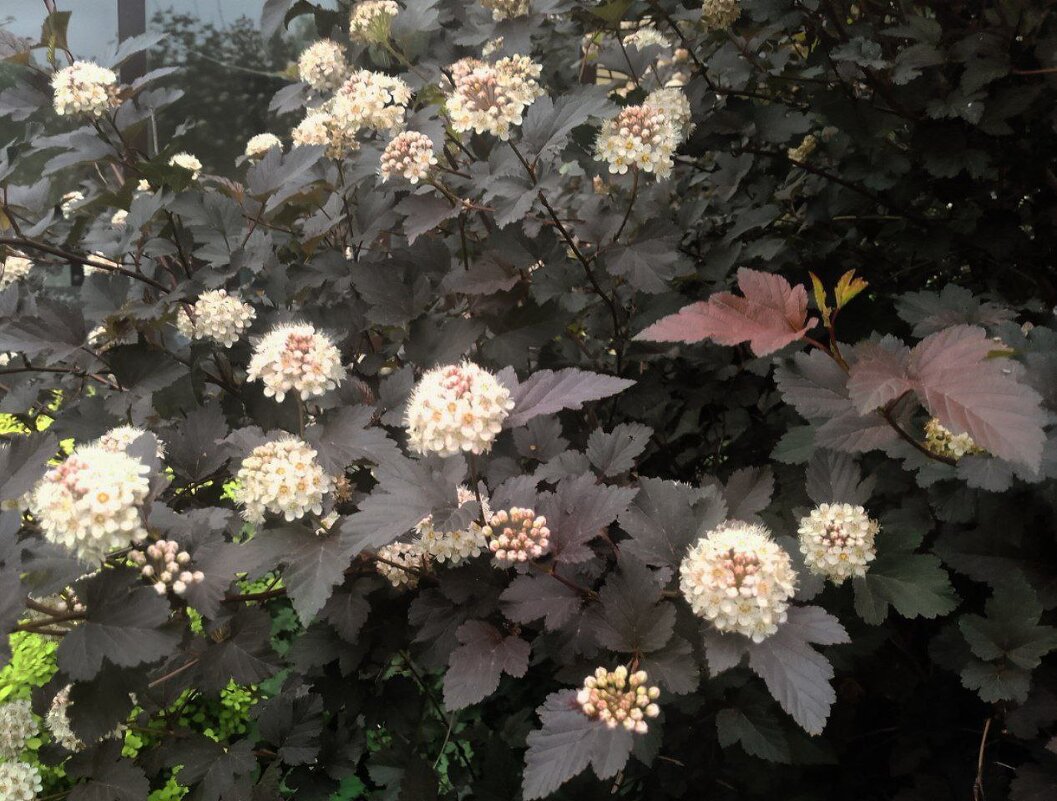 лето 2025 - Анастасия Малыгина