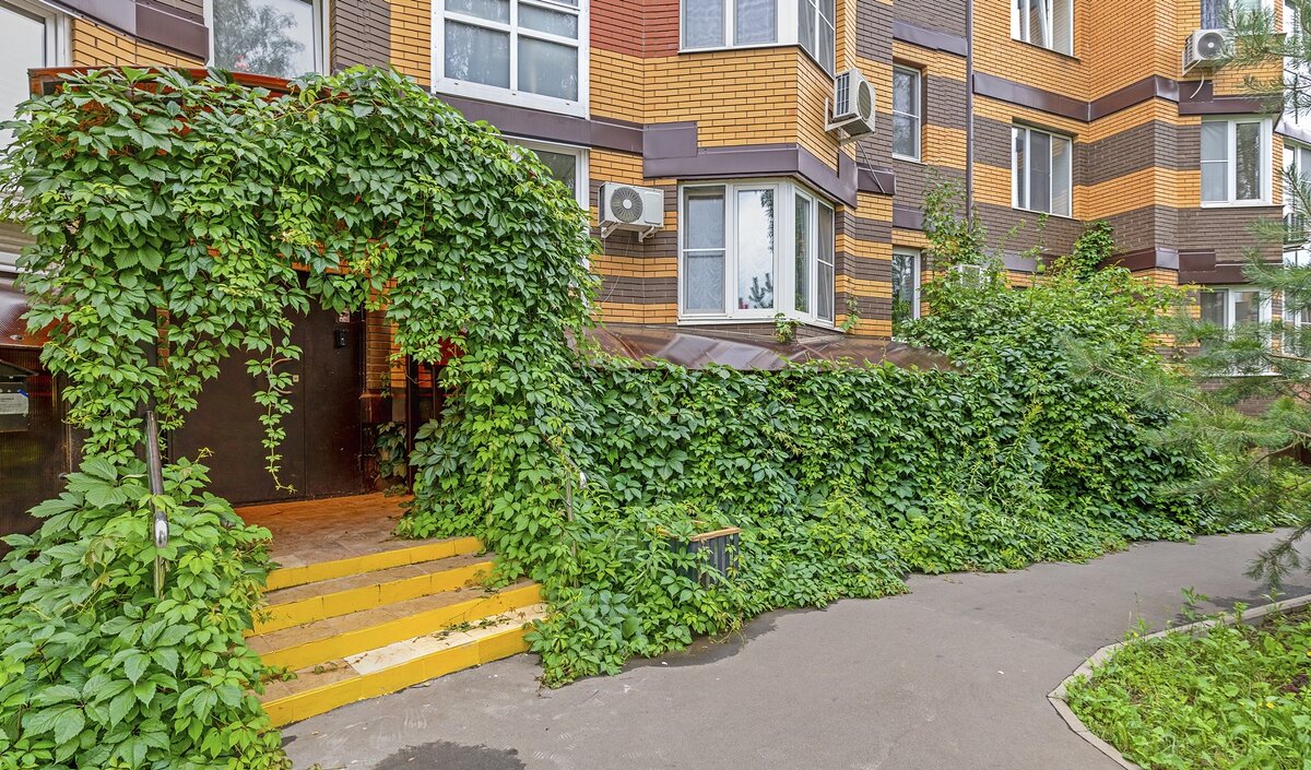 Зелёный подъезд - Валерий Иванович