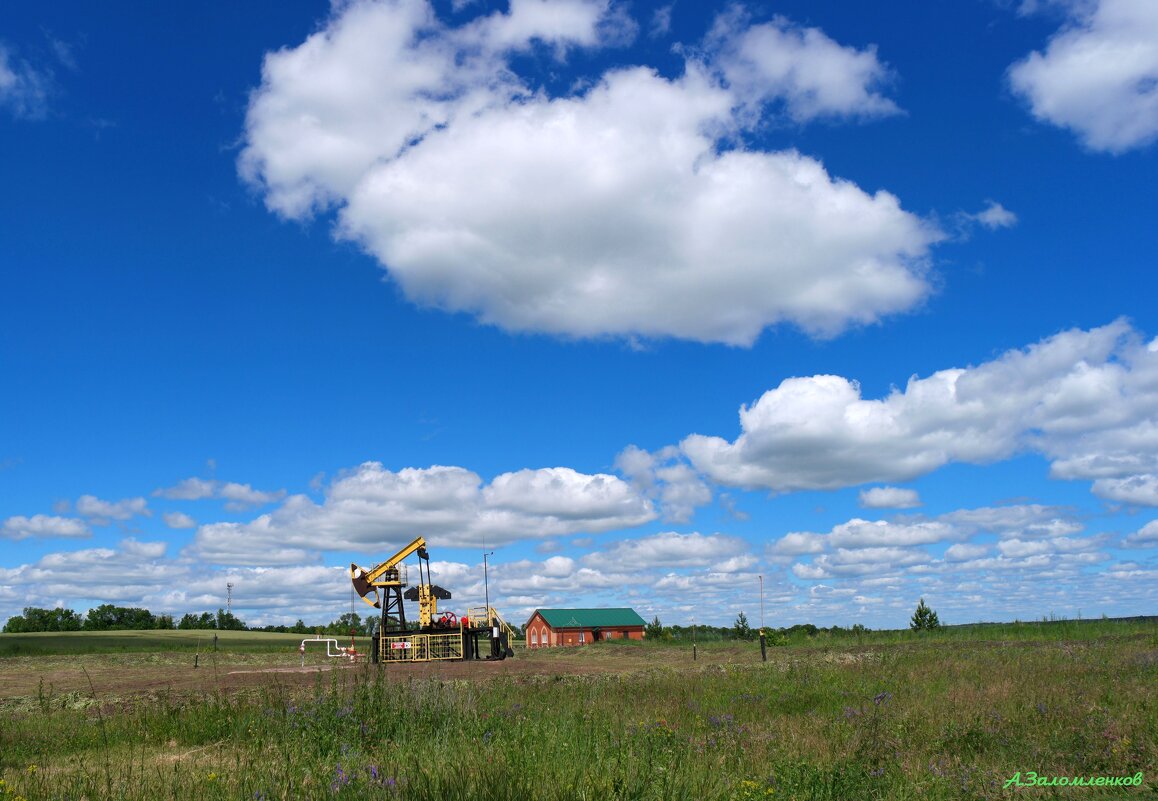 На летних полях.. - Андрей Заломленков