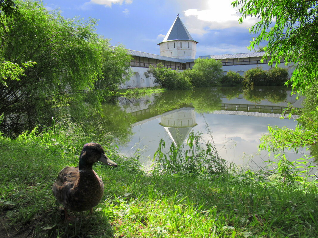 \\\\ - emaslenova \\\\ - emaslenova