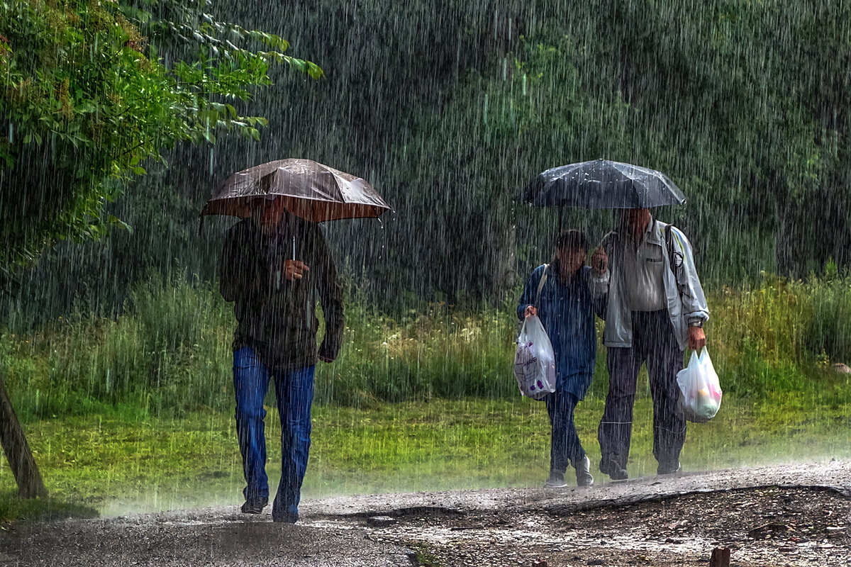 ливень... - Владимир Матва ливень... - Владимир Матва
