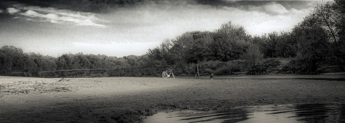 Маленькая история в чб - Sergei Vikulov