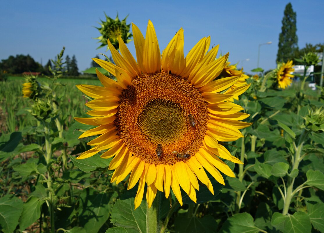 ... - Галина ... - Галина