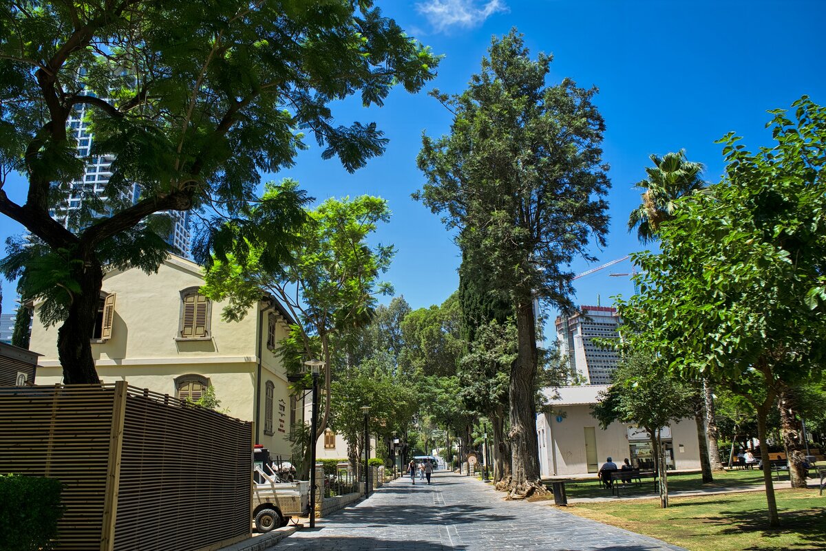 Тель-Авив            *         11,07,2025г - ujgcvbif 