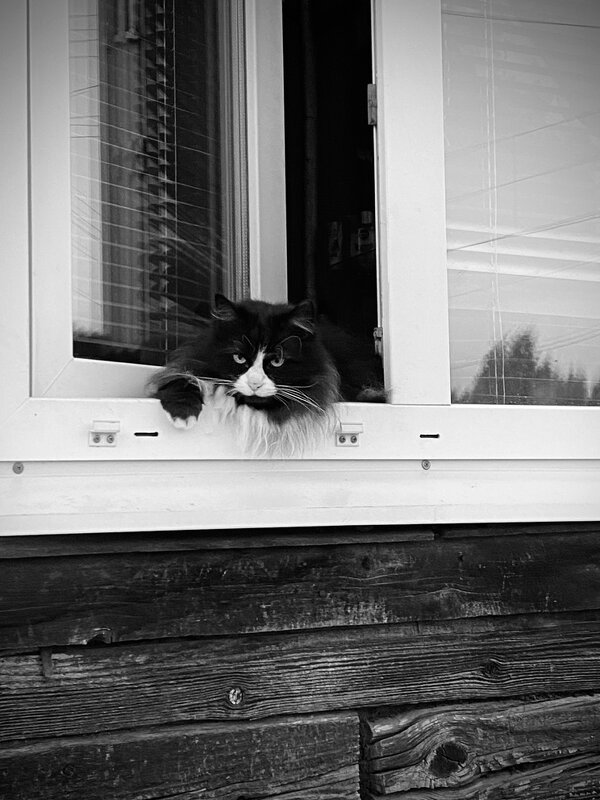 /// - Денис Козлов