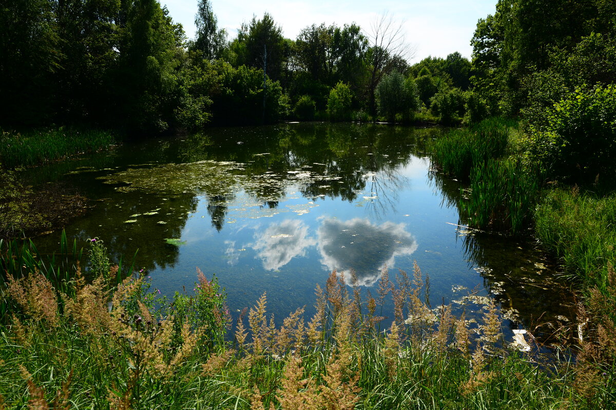 На лесном озере. - Михаил Колосов 