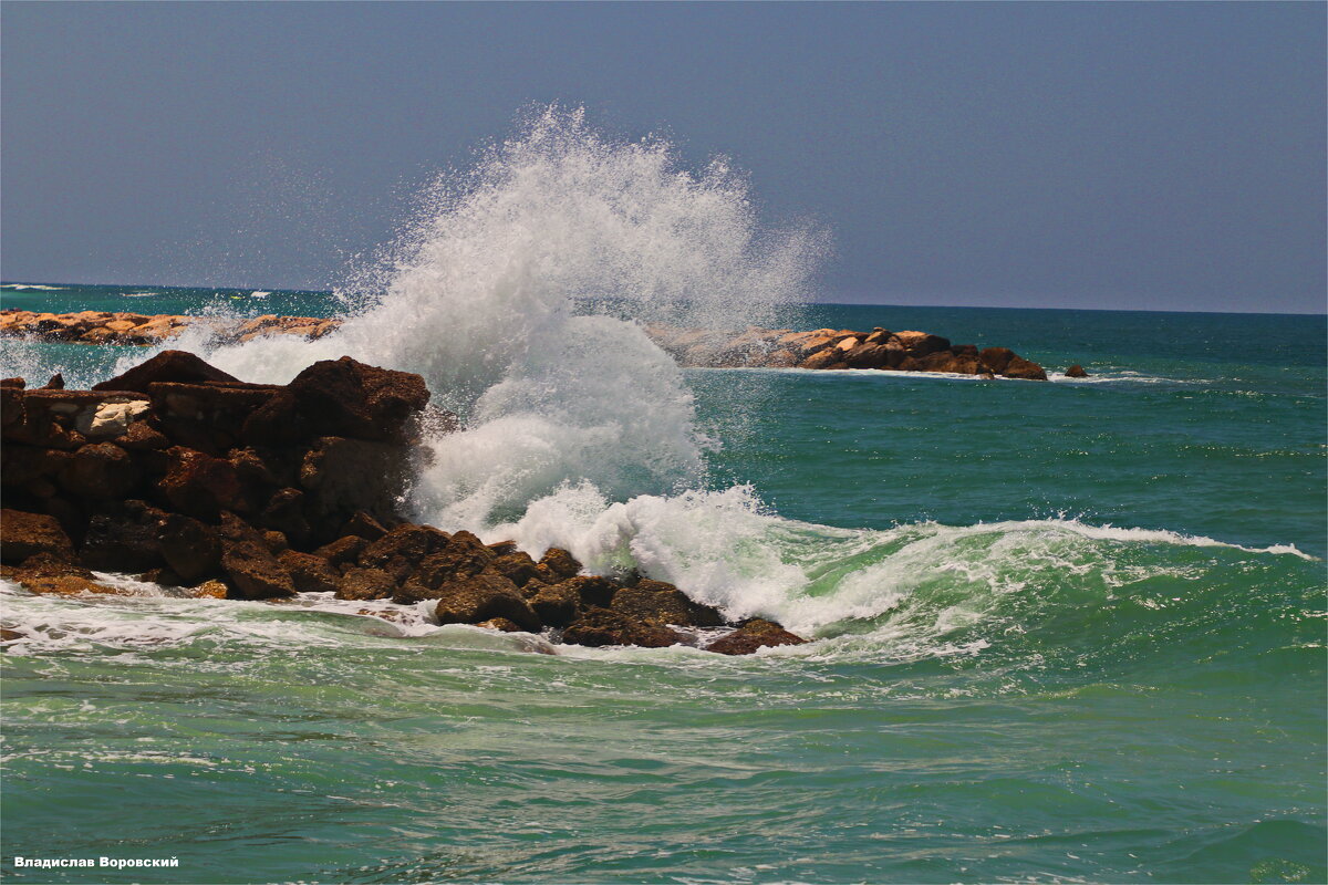 Хайфа 2025 - Владислав Воровский 