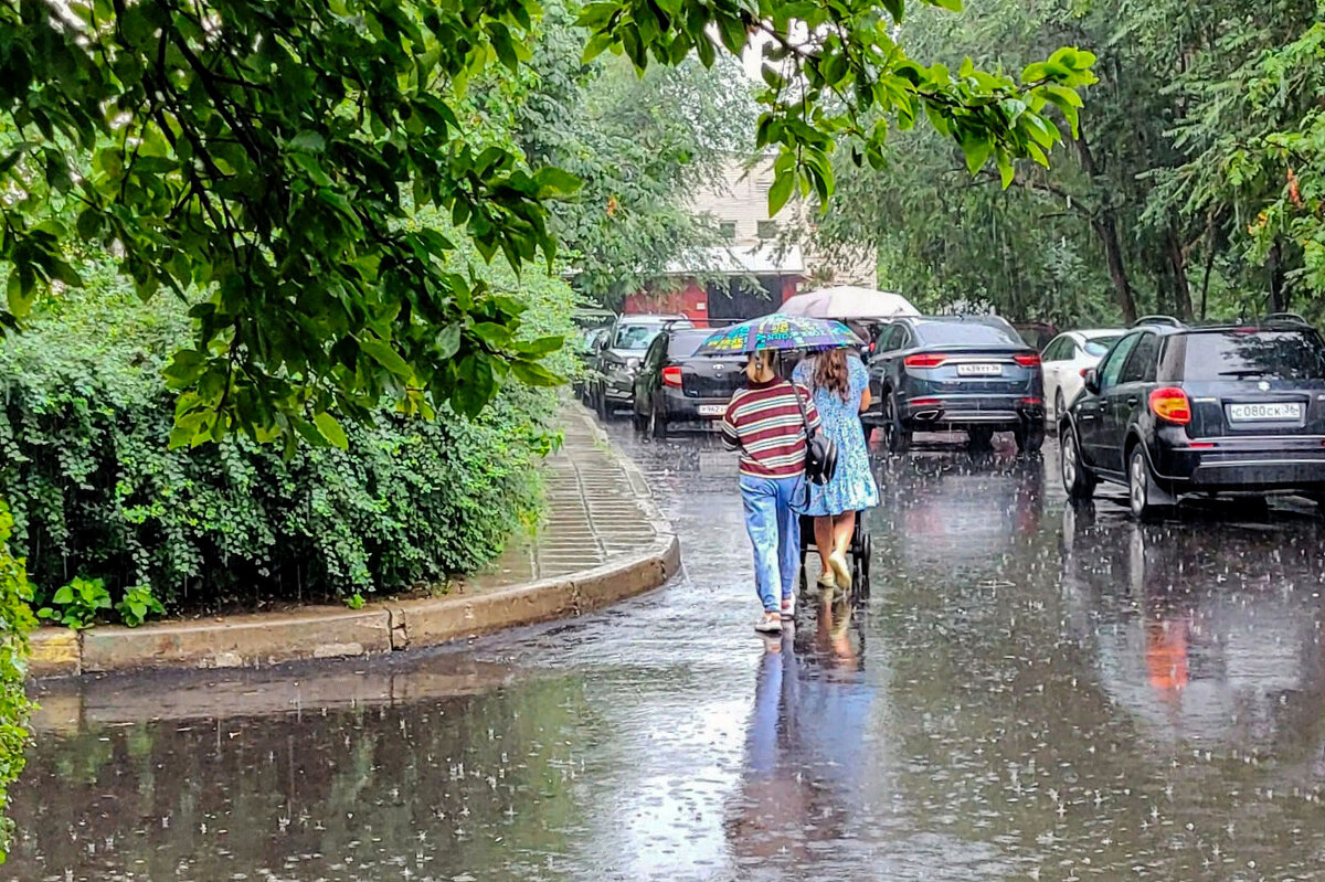 Июльский дождь - Татьяна Машошина