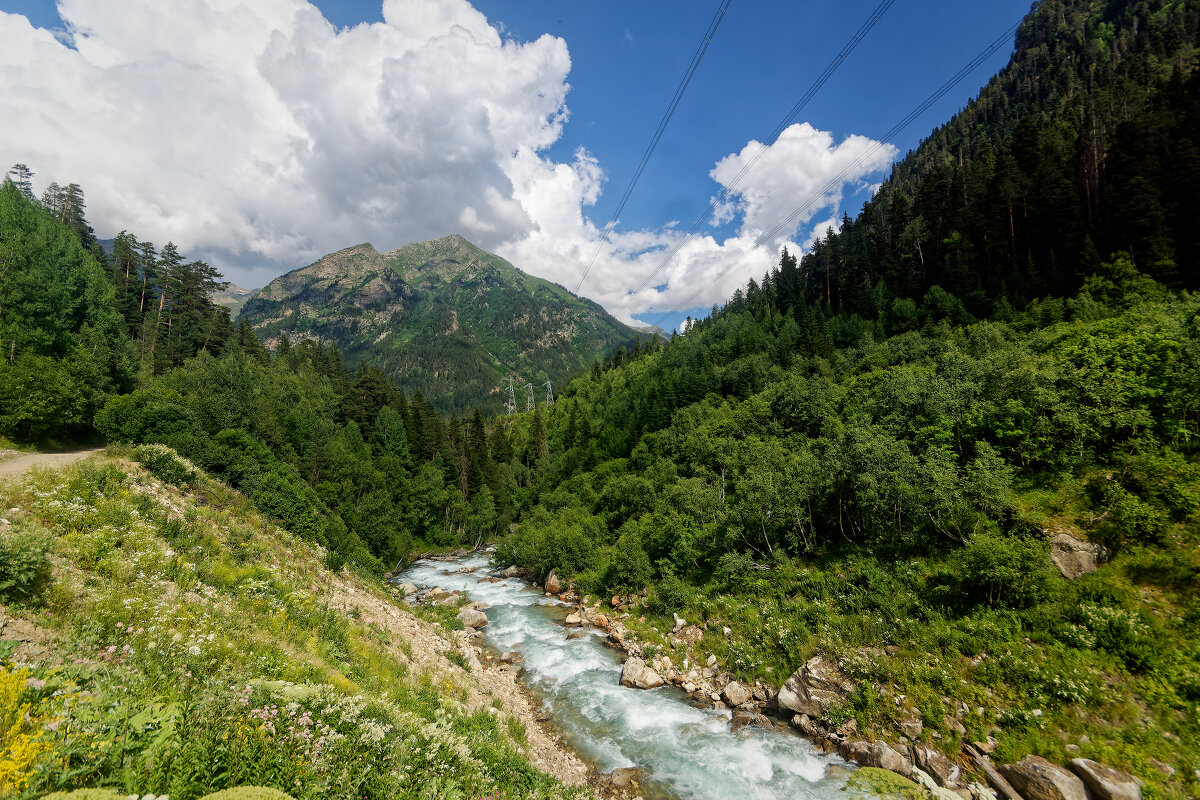 Махар - Дмитрий Емельянов