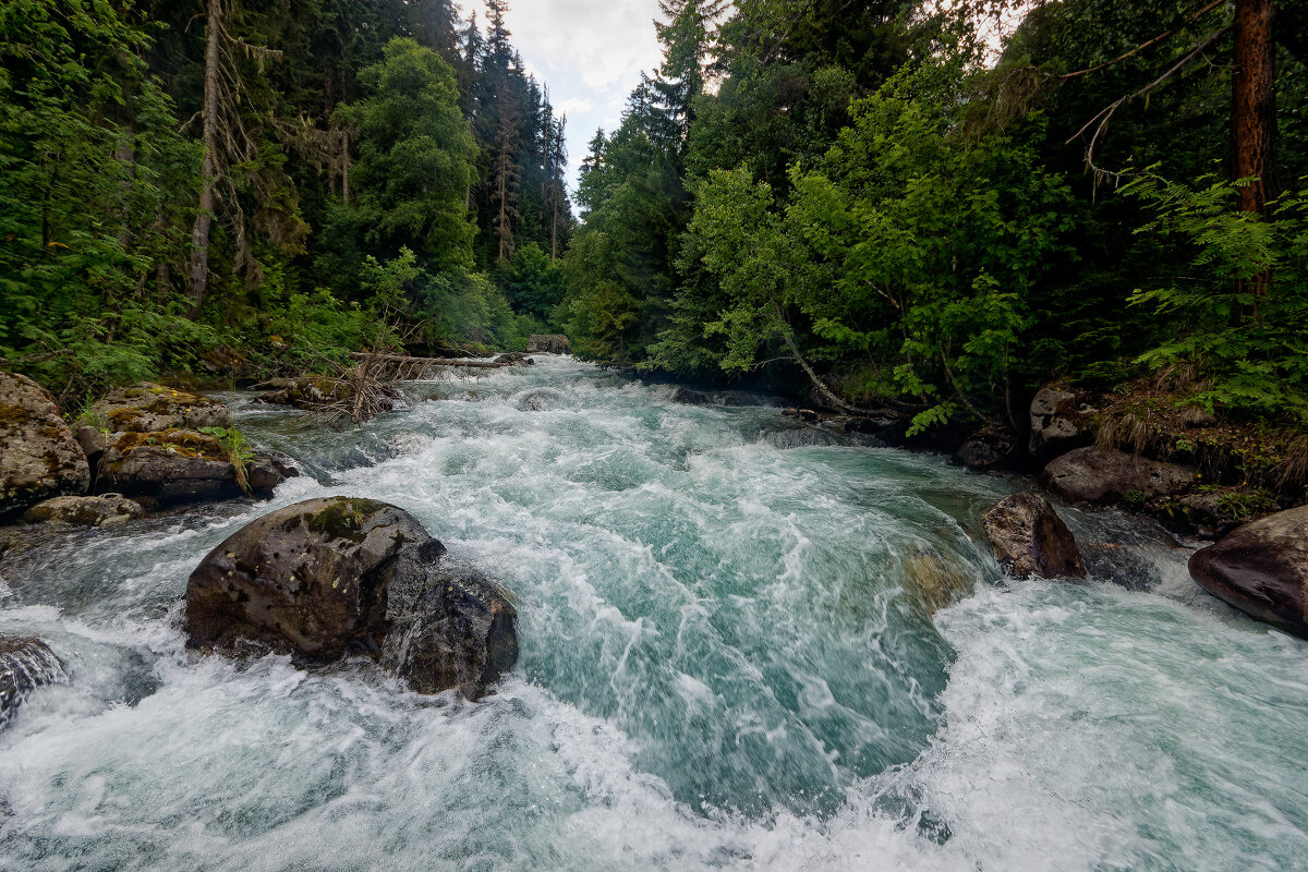 Махар - Дмитрий Емельянов