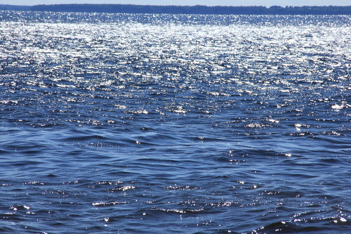 Вода, вода! Кругом вода! - Евгений Корьевщиков