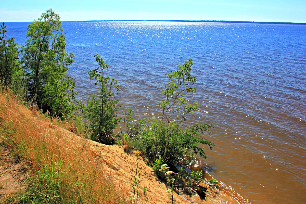 Берег "моря"... - Евгений Корьевщиков