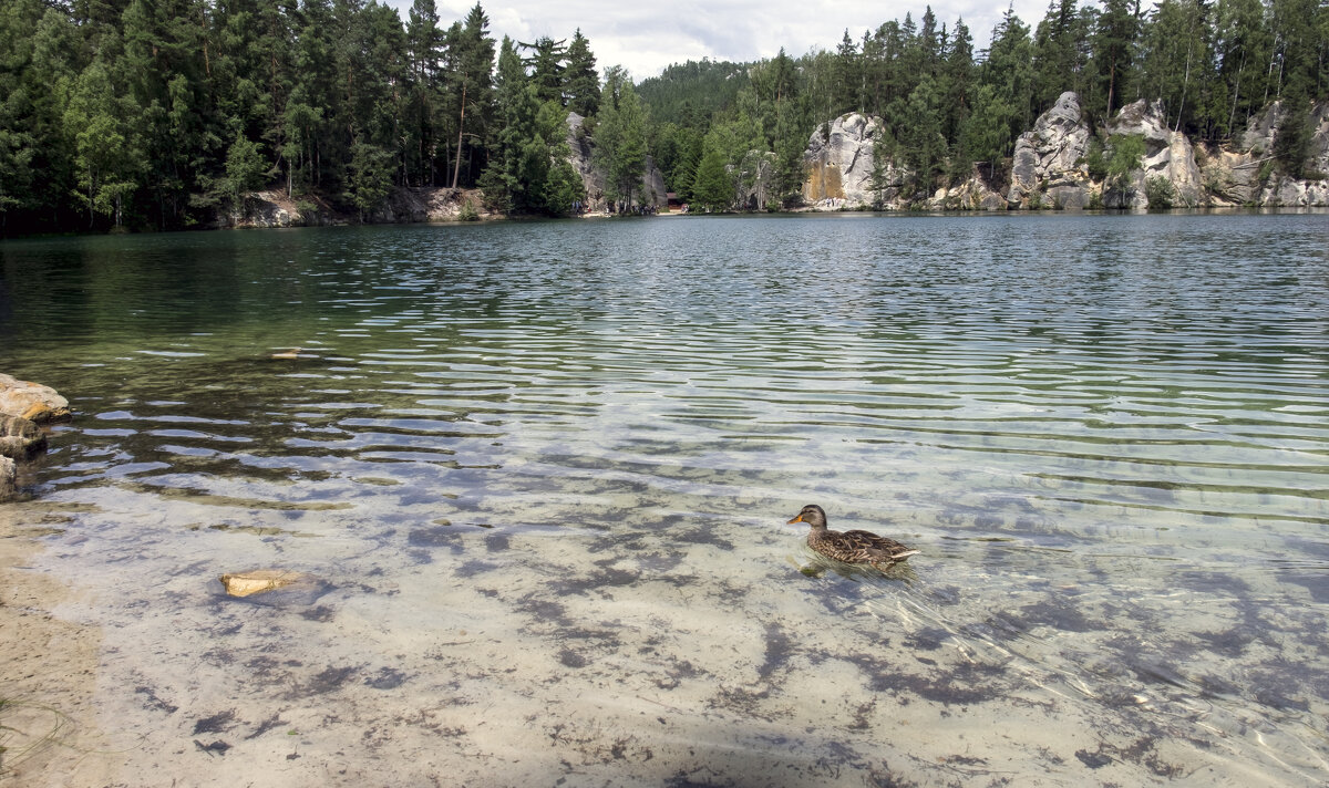 ** - Александр Липовецкий