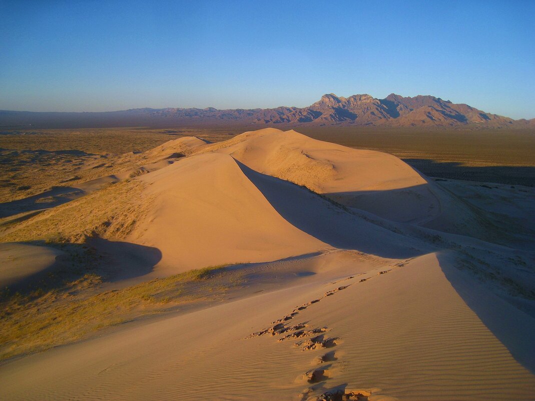 Вечерние дюны Келсо, Калифорния, США. - unix (Илья Утропов)