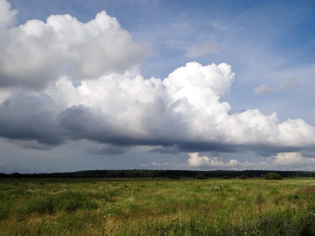 Небо и земля - Антонина Гугаева Небо и земля - Антонина Гугаева