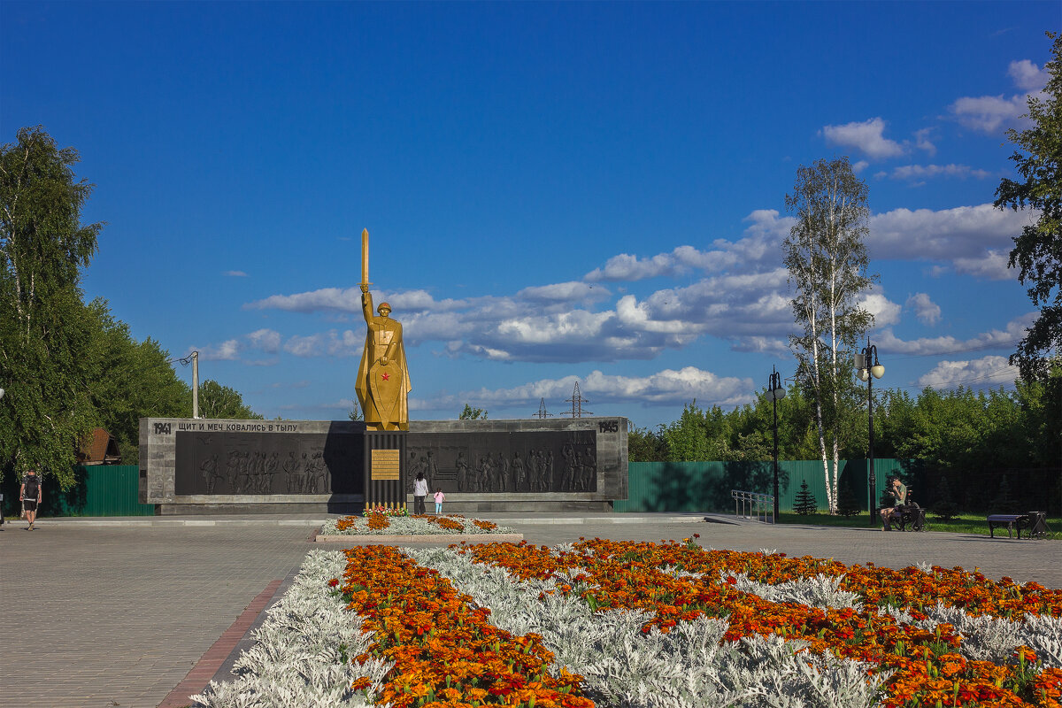 Щит и меч - Дмитрий Костоусов