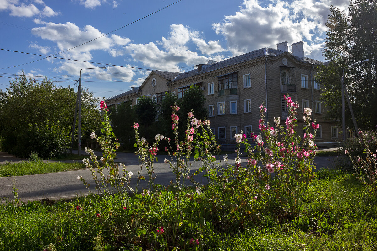 Цветы окраин городских - Дмитрий Костоусов