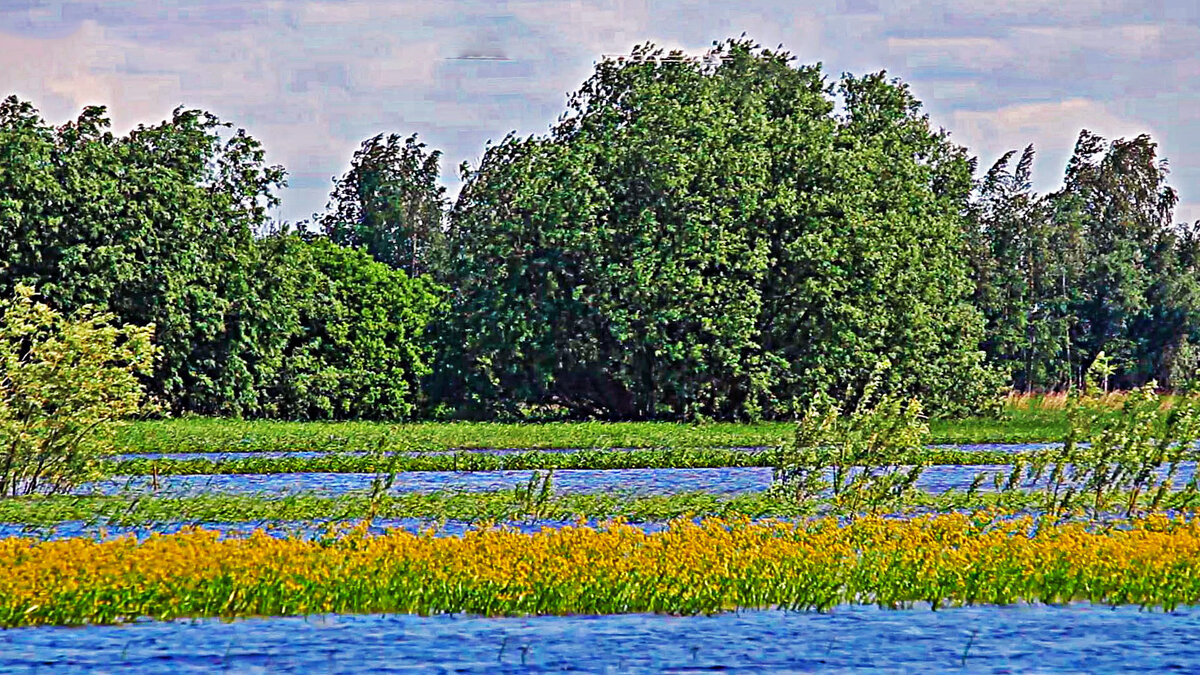 Июнь...Летний день на протоке Сырой Аган! - Владимир 