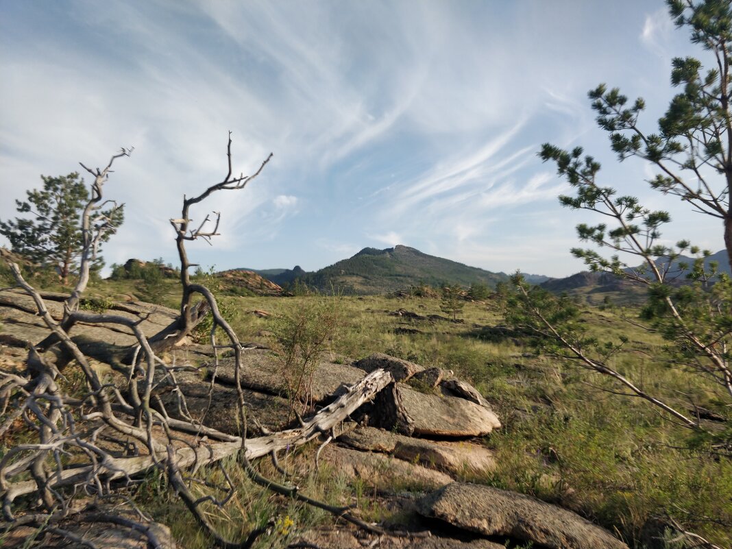 Сказка леса - Андрей Хлопонин