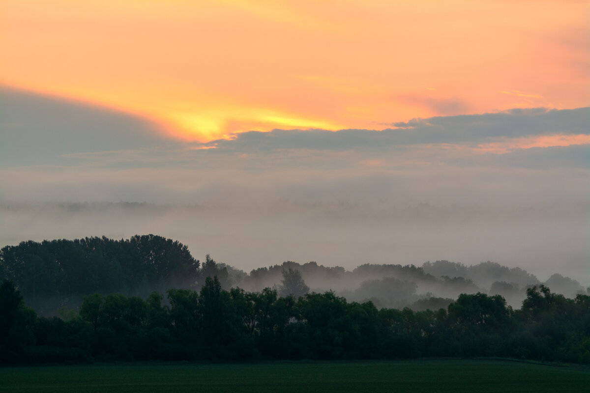 туманные дали - Виталий Емельянов туманные дали - Виталий Емельянов