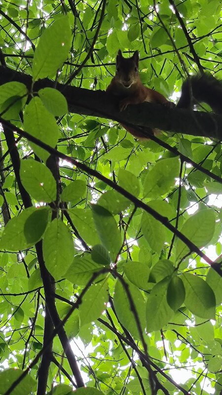 Спряталась! - Ольга 