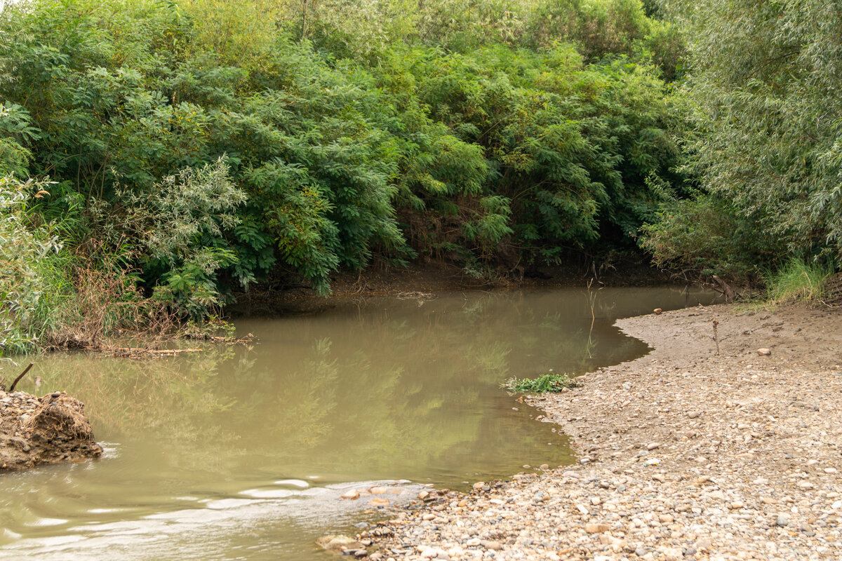 Протока - Игорь Сикорский