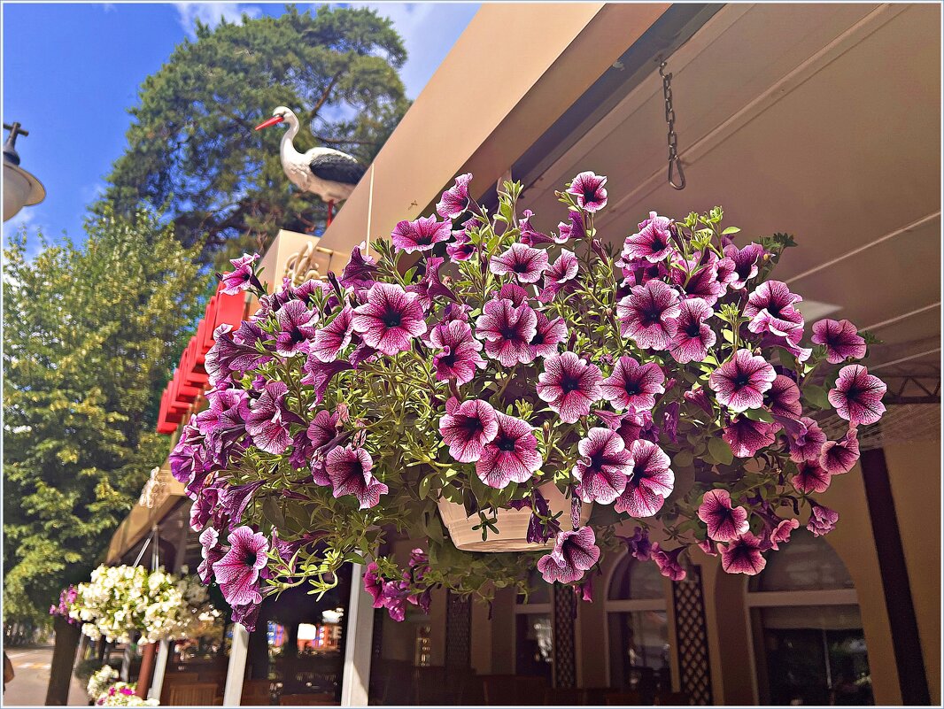 Украшение города. - Валерия Комова Украшение города. - Валерия Комова