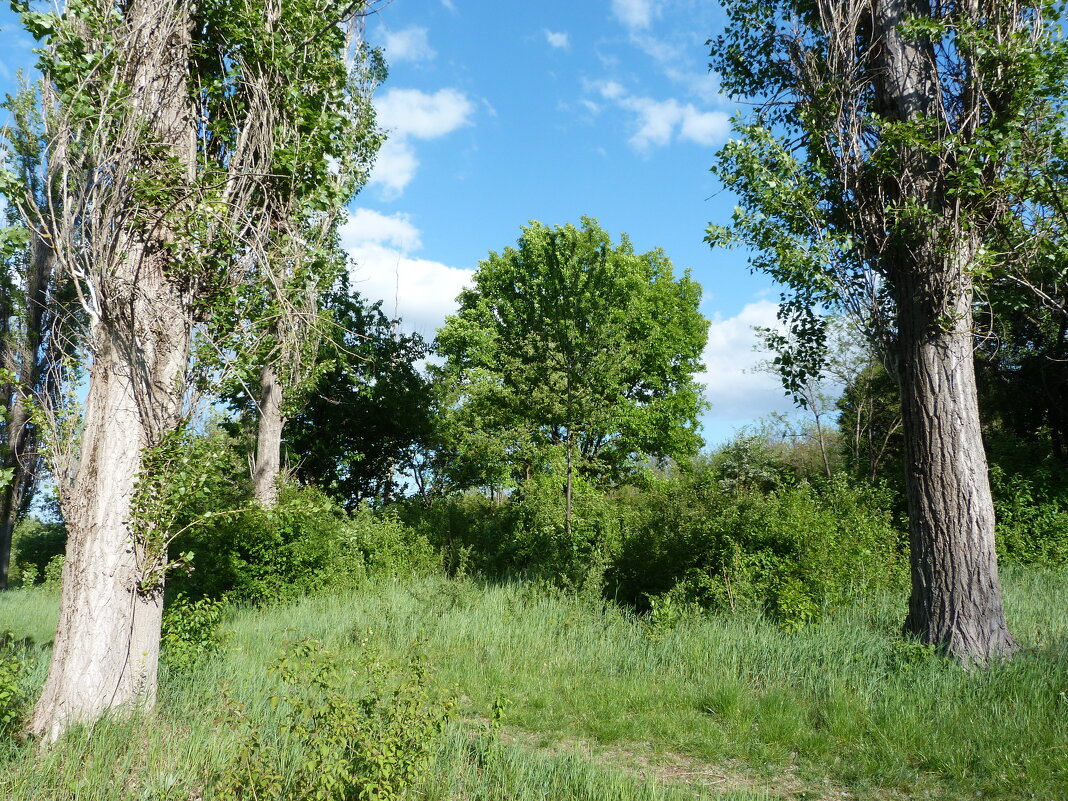 Природа  Крыма - Валентин Семчишин