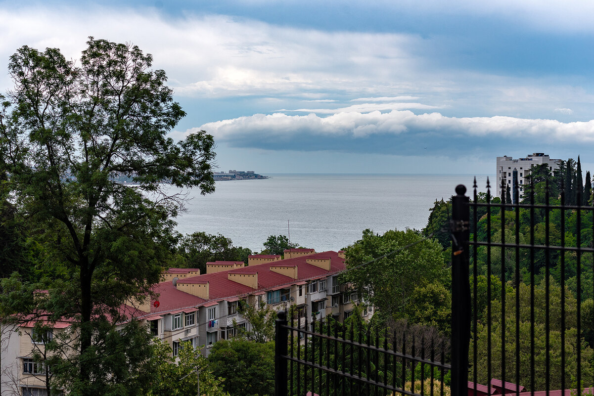 Вид на Чёрное море ,Хоста - Вадим Федотов Вид на Чёрное море ,Хоста - Вадим Федотов