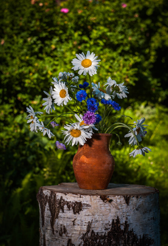 ***//*** - Анатолий Нецепляев