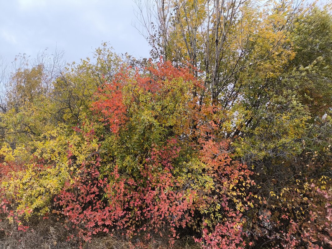 Осень - Anna Ivanova