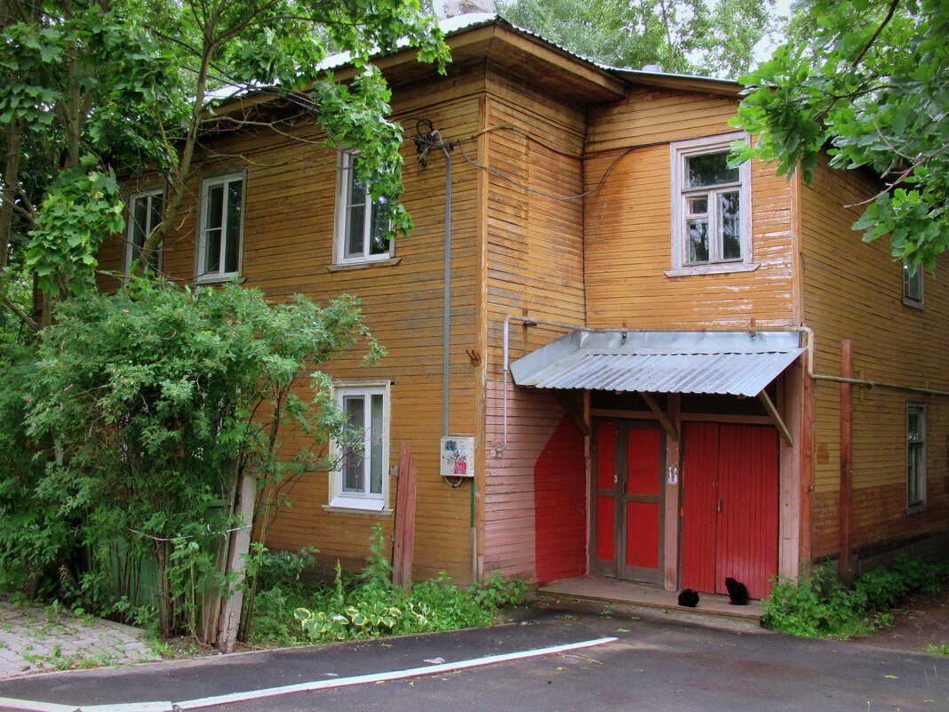 Два кота - пара - emaslenova 