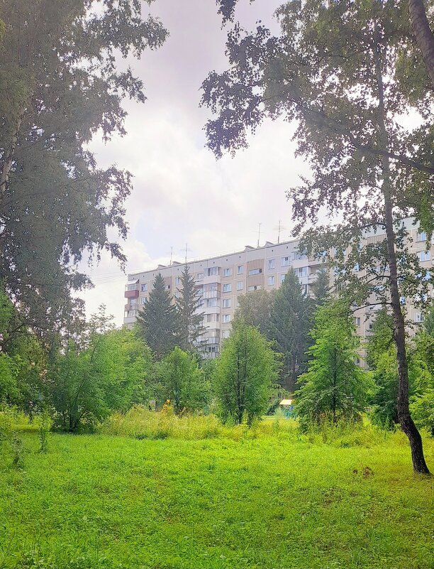 Городской пейзаж . - Мила Бовкун