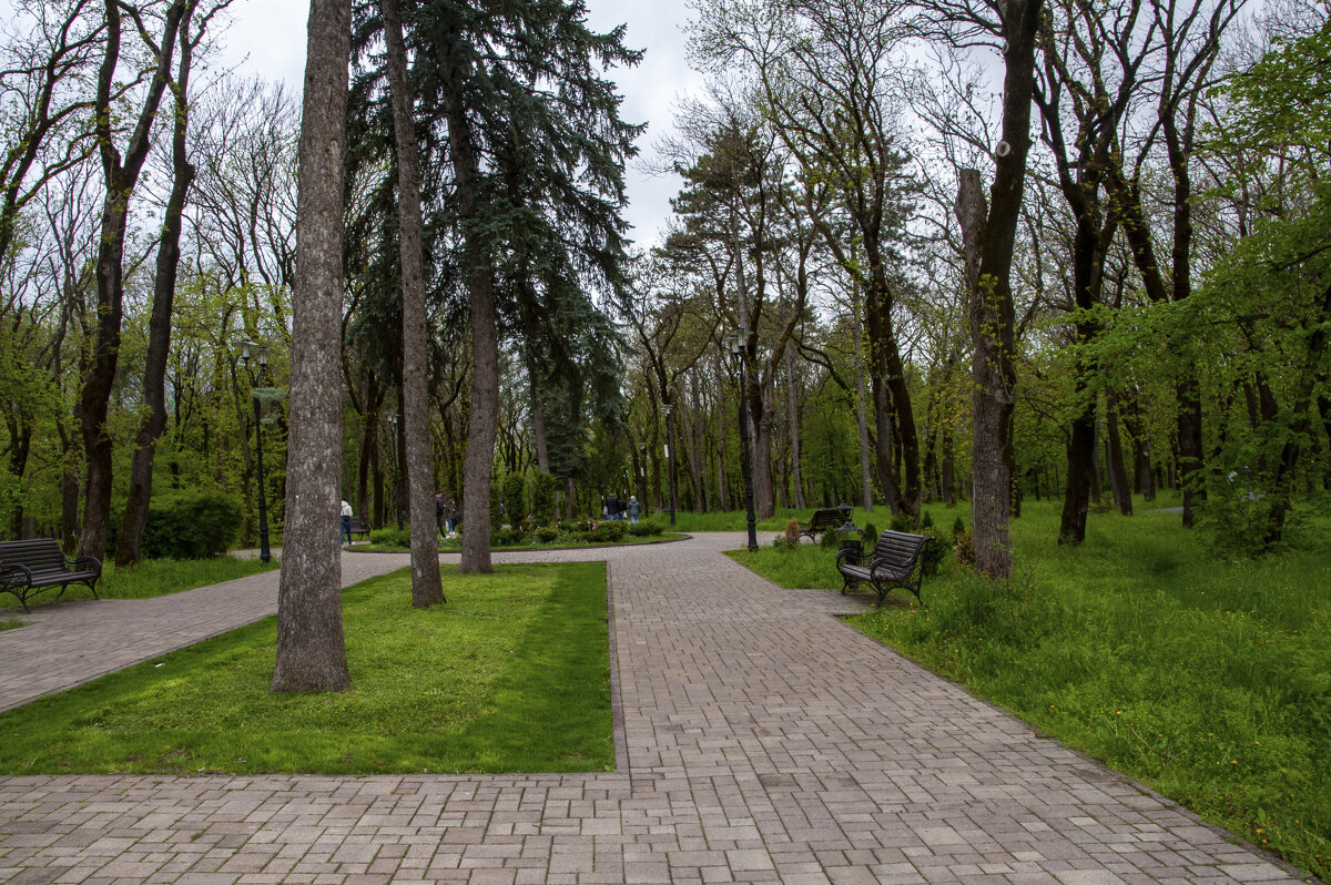 В Курортном парке - Gen 